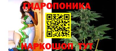 a pvp Тулун